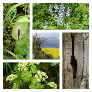 Meet your Posher, Yvonne